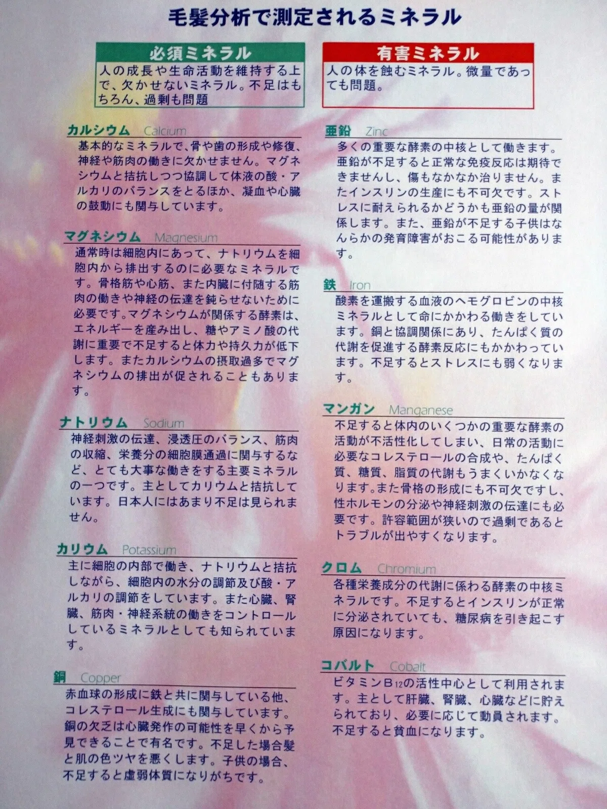 毛髪検査02