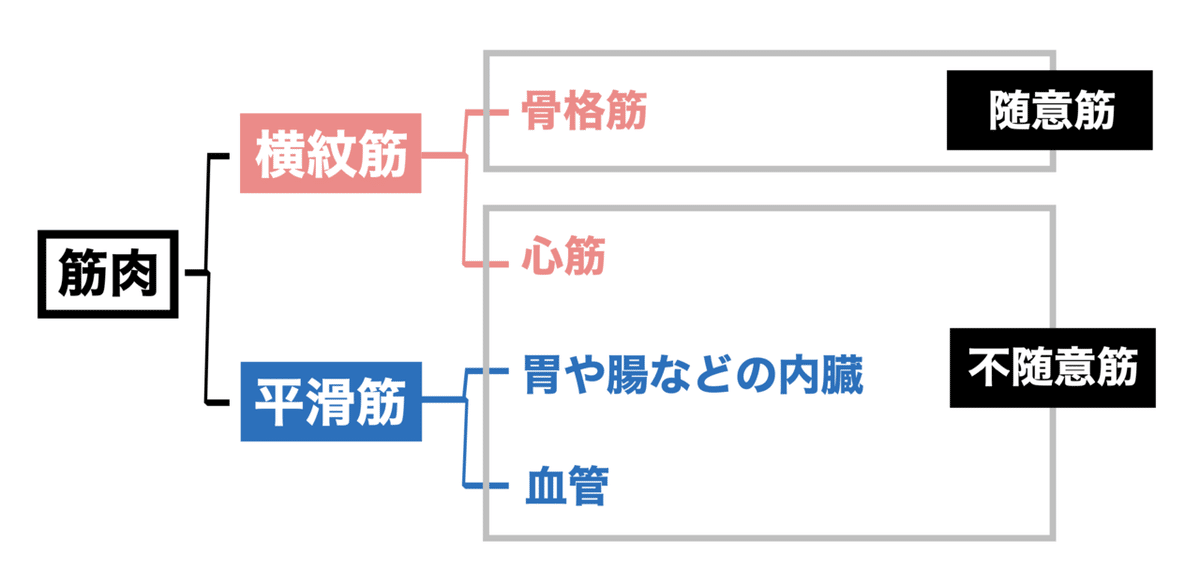 スクリーンショット 2021-06-15 10.56.35