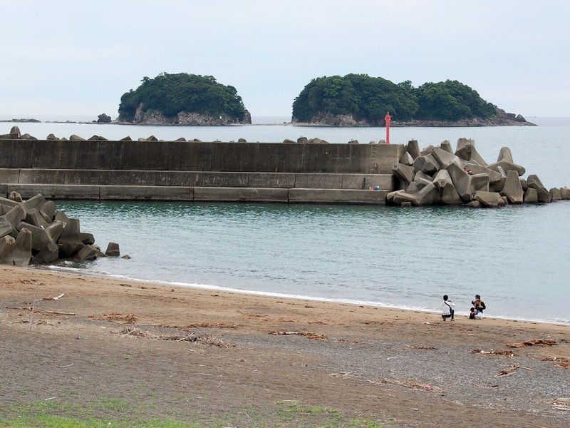 20210606鹿島神社へ (5 - 6)