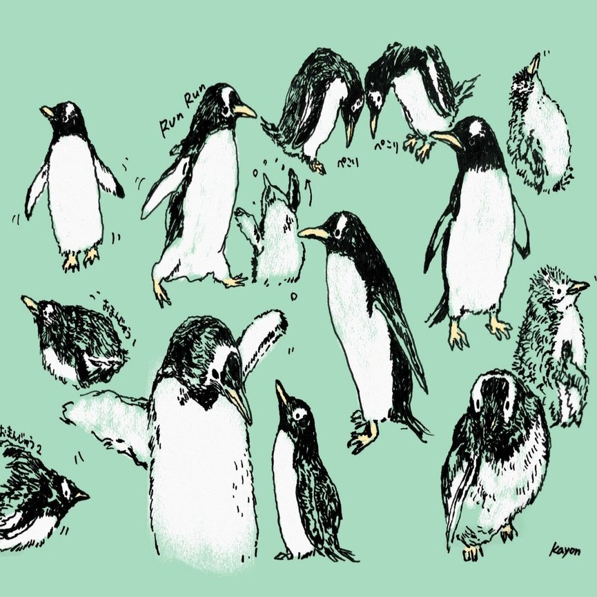 もしゃもしゃ動物の絵168（ジェンツーペンギンメモ）｜かよん