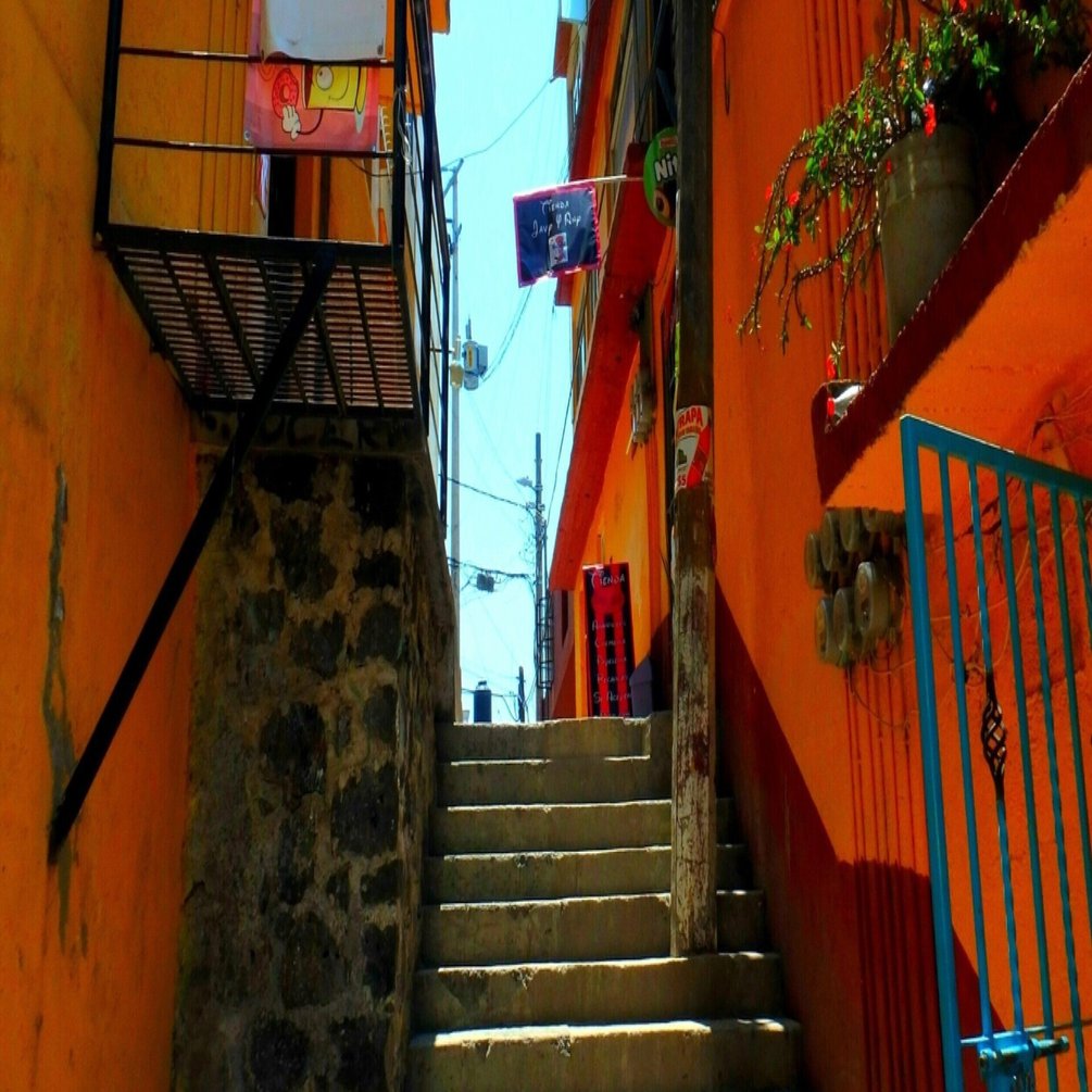 読書感想文：ドン・ファンの教え、力の話／カルロス・カスタネダ｜高梨 蓮