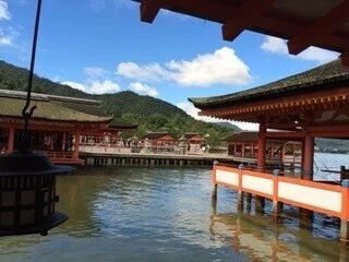 画像7