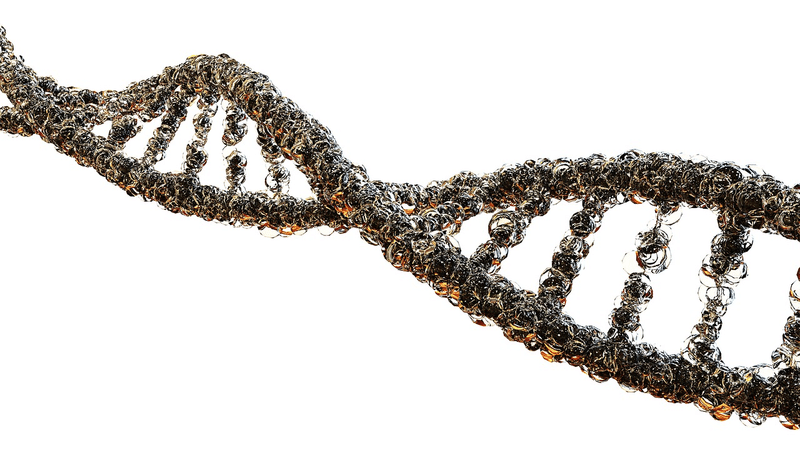 DNA
