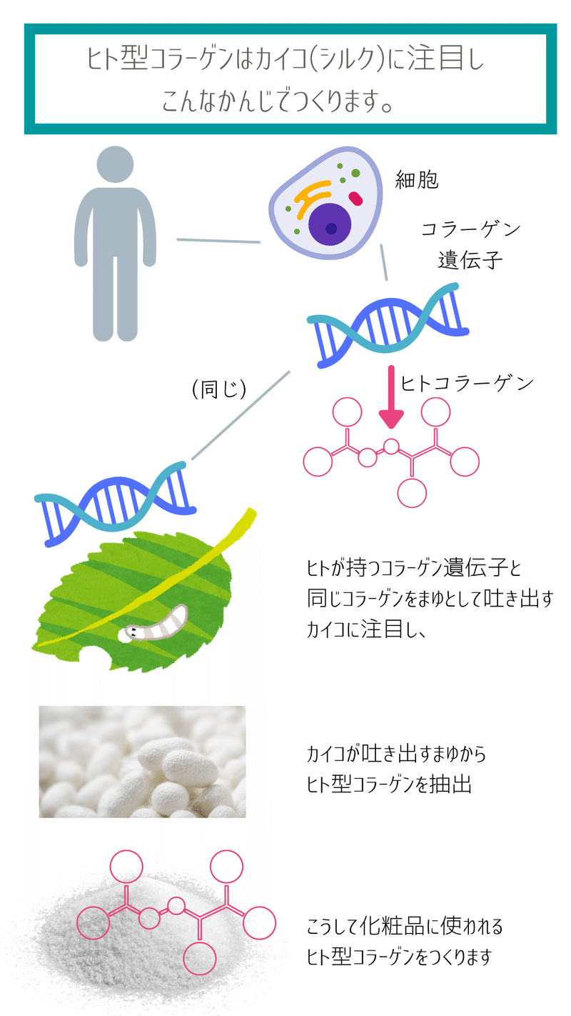 広告用 (7)