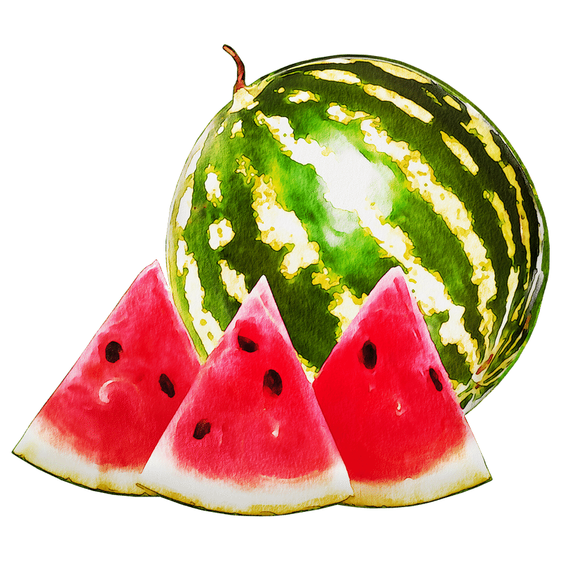 夏の代表的な 果実的野菜 スイカ について Y S Note