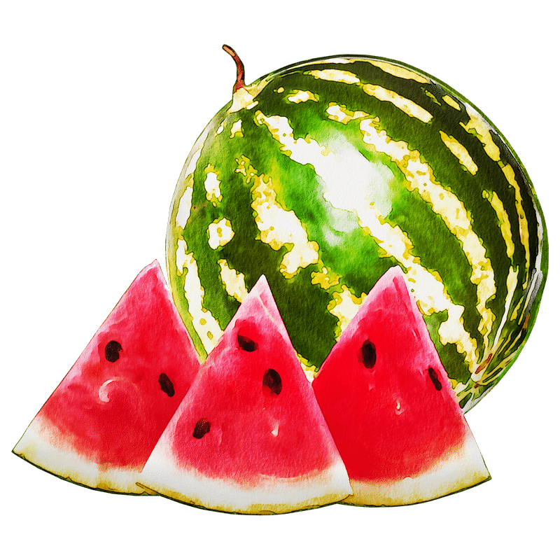 夏の代表的な 果実的野菜 スイカ について Y S Note 夏の代表的な 果実的野菜 スイカ について Y S Note