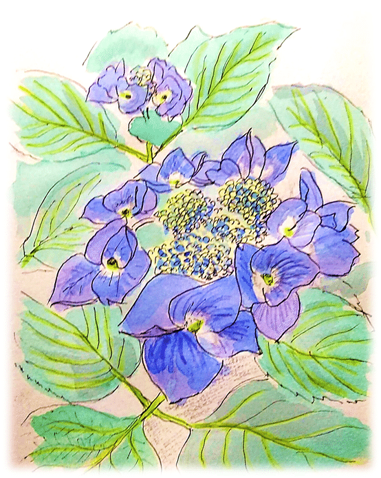 再びオサビシ山に籠ります 暫しのお別れ ー アルプ スナフキン Alp Snufkin Note