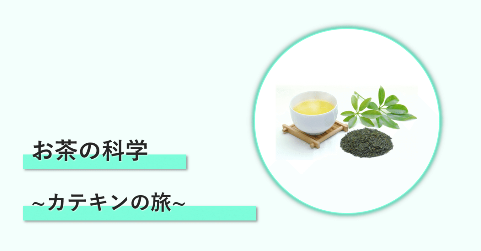 お茶の科学 カテキンの旅 じゃぐ Note お茶の科学 カテキンの旅 じゃぐ Note