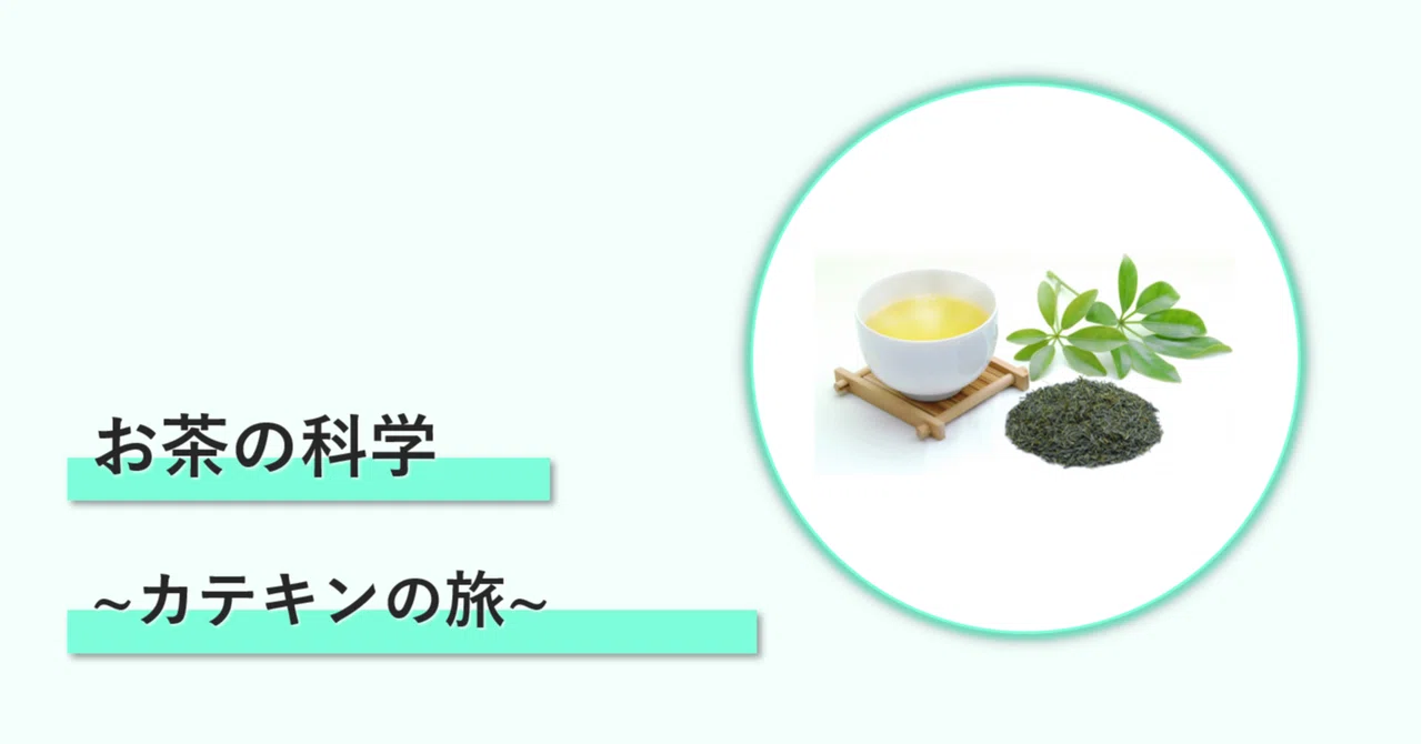 The Science of Tea: A Journey of Catechins｜じゃぐ
