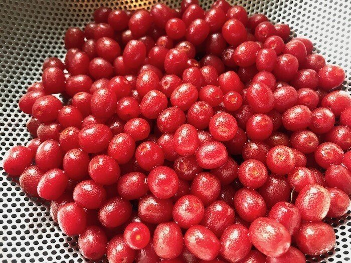 真っ赤なグミのジャム｜ヒガシリカ