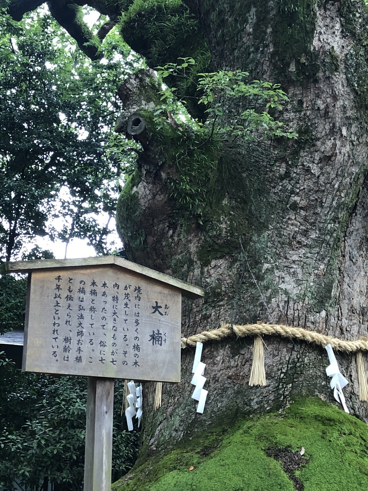 西ではふと気付くとあの方がいらっさる お大師さまを探せ が出来るんちゃうか 純戦士のおじさん Note