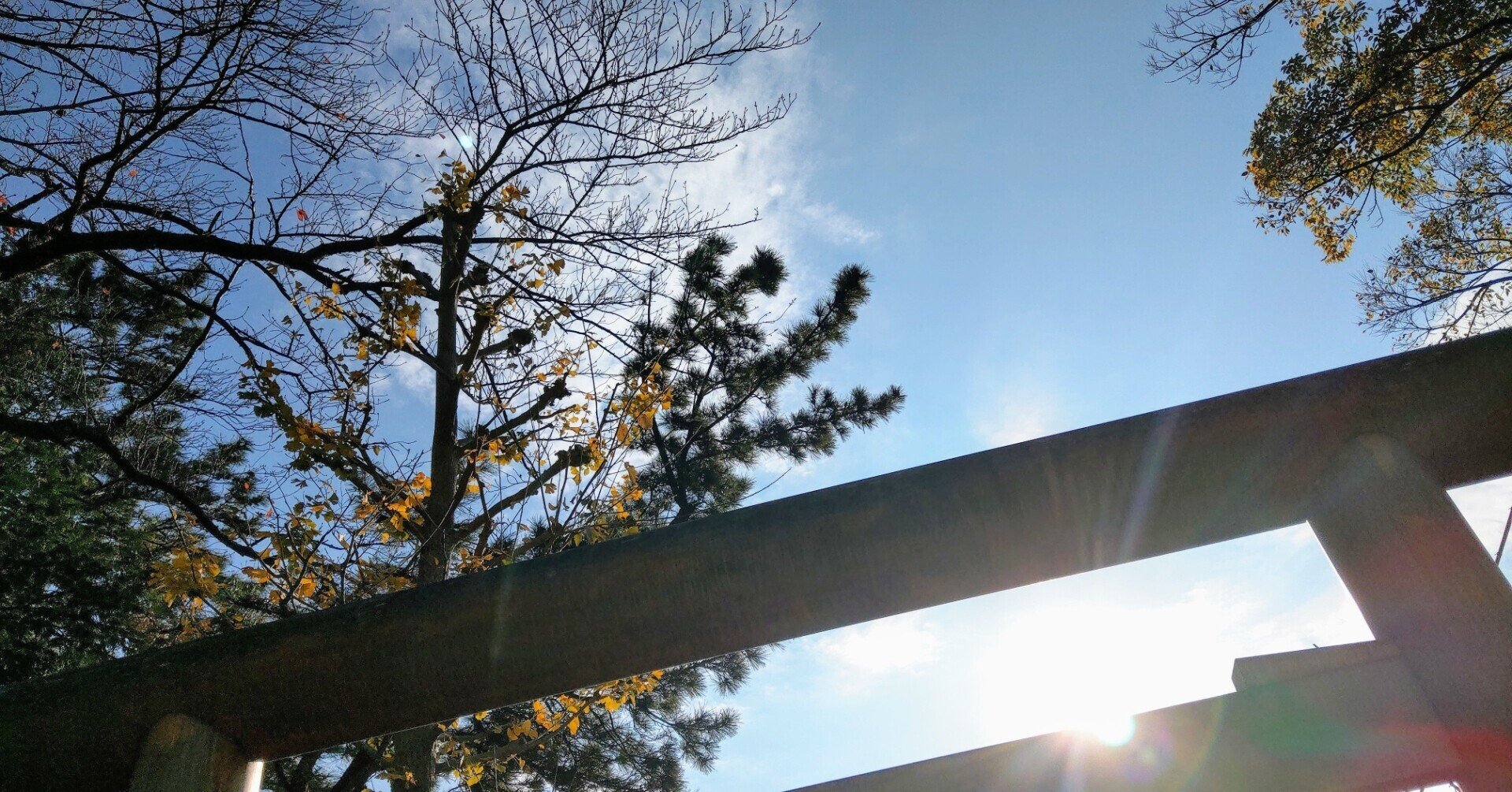 友達より 仲間が欲しい マミーチャンヌ Note 友達より 仲間が欲しい マミーチャンヌ Note