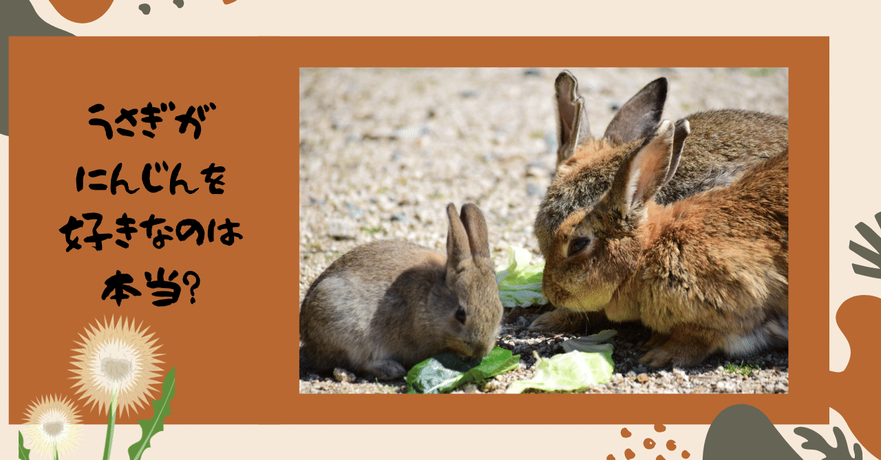 うさぎがにんじんを好きなのは本当 与えていい量はどれくらい うさぎの杜の学校 仮校舎 Note うさぎがにんじんを好きなのは本当 与えていい量はどれくらい うさぎの杜の学校 仮校舎 Note