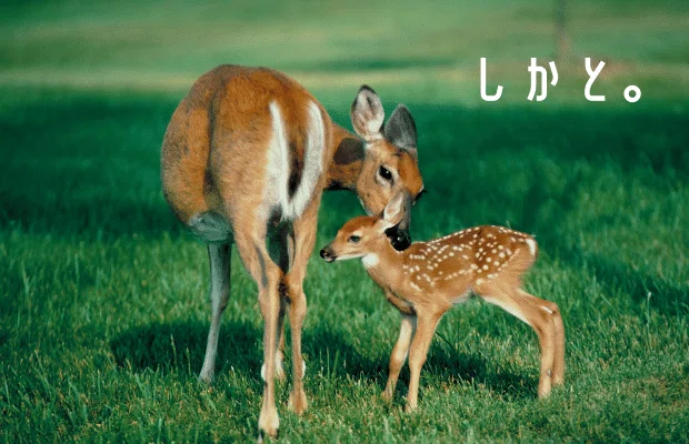 note文中写真 (8)
