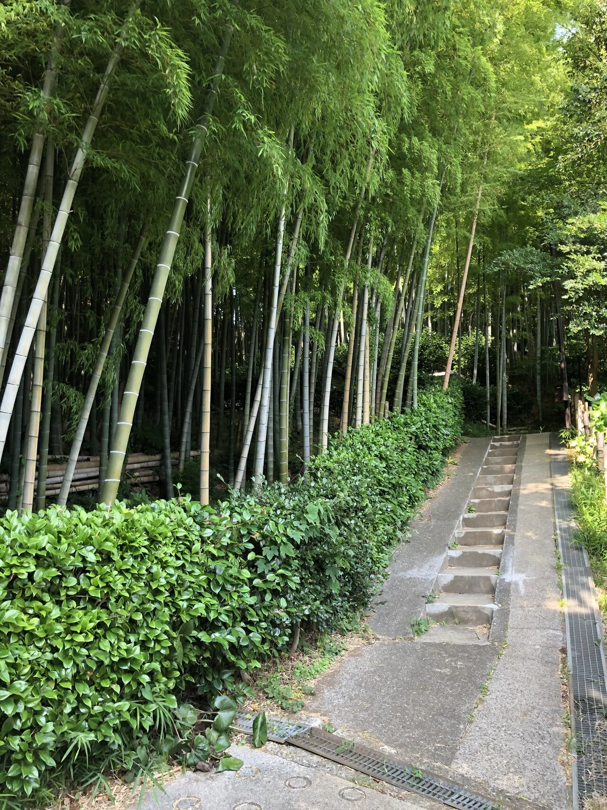 画像25