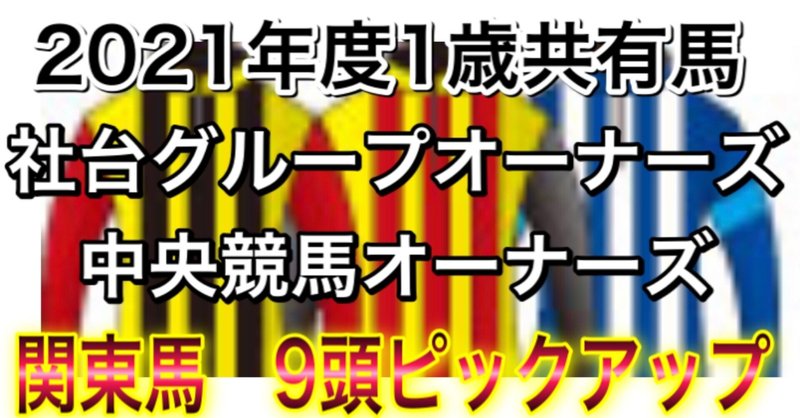 社台グループオーナーズ.中央オーナーズ　1歳共有馬　関東馬　ピックアップ9頭