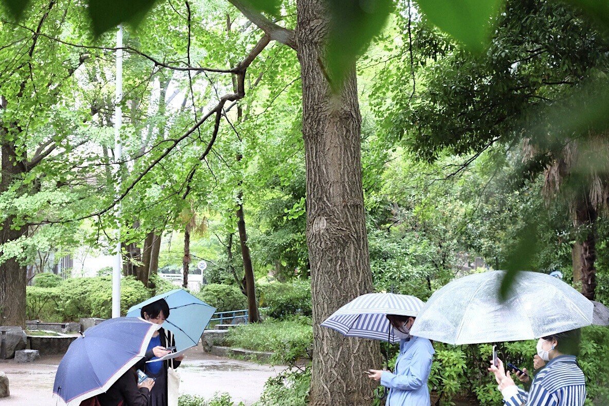 3. 日本 森 1日目