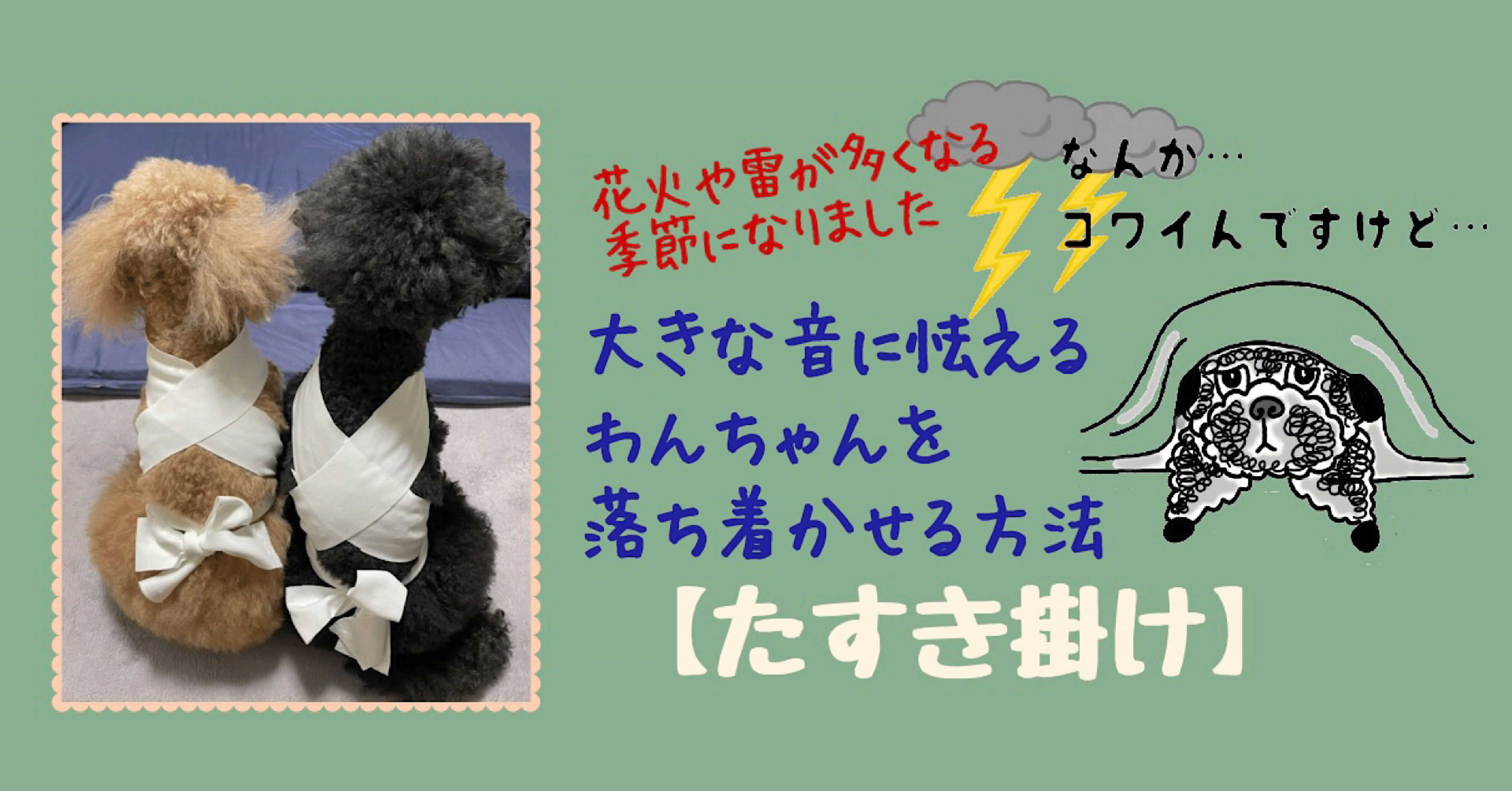 大きな音に怯えるわんちゃんを落ち着かせる方法 Npo法人 迷子犬の掲示板 Note 大きな音に怯えるわんちゃんを落ち着かせる方法 Npo法人 迷子犬の掲示板 Note