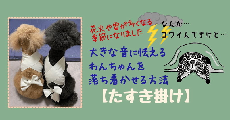 大きな音に怯えるわんちゃんを落ち着かせる方法 Npo法人 迷子犬の掲示板 Note 大きな音に怯えるわんちゃんを落ち着かせる方法 Npo法人 迷子犬の掲示板 Note