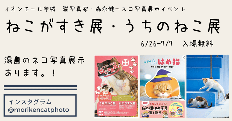 猫写真家・森永健一の猫写真展示イベント「ねこがすき展」は6/26-7/7まで開催です！