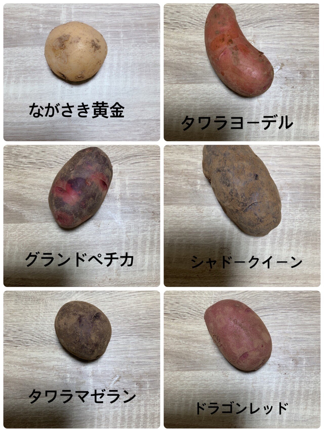 長崎県西海市のじゃがいもを食べ比べてみた｜Imocco