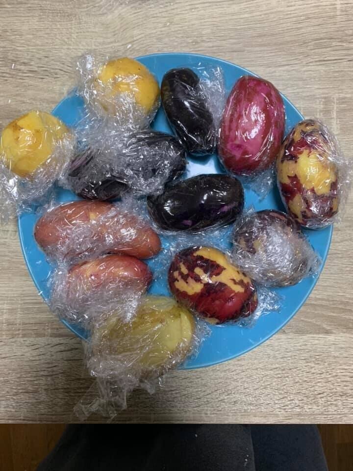 長崎県西海市のじゃがいもを食べ比べてみた｜Imocco