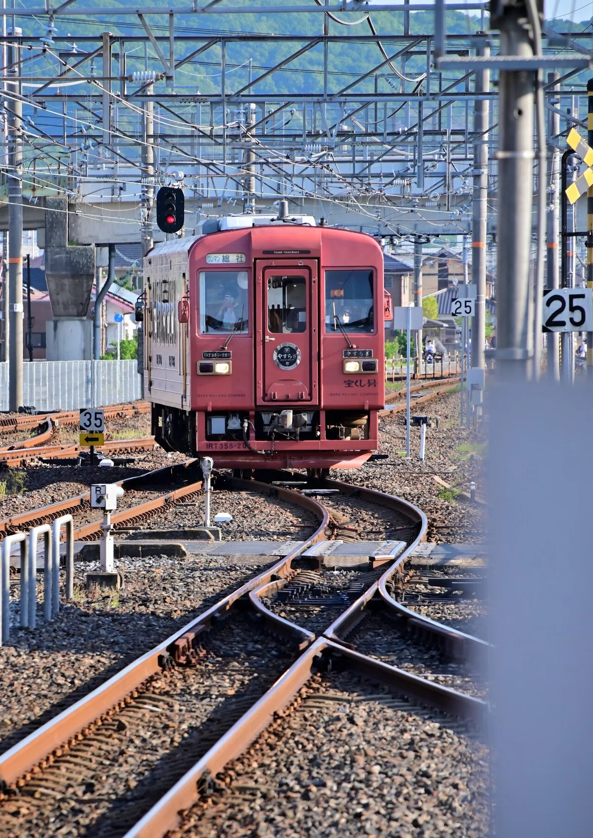 画像7