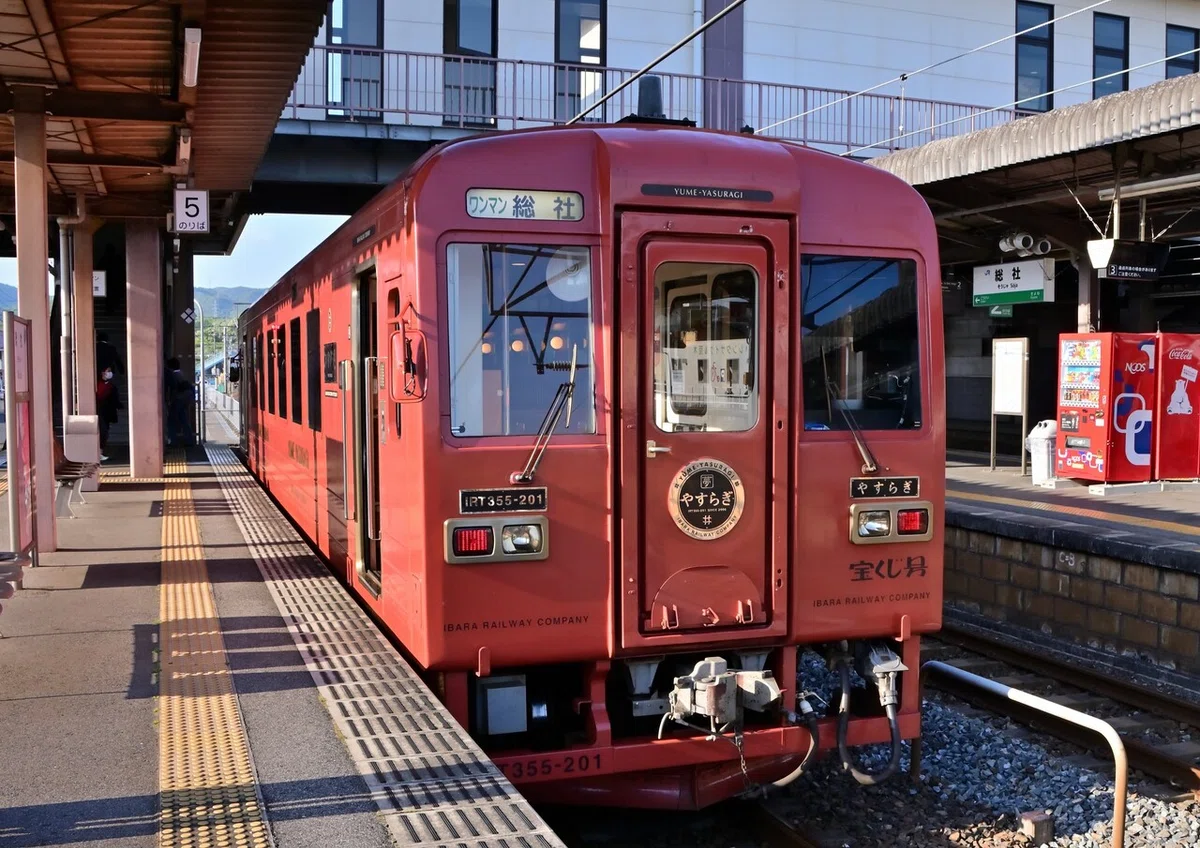 画像8