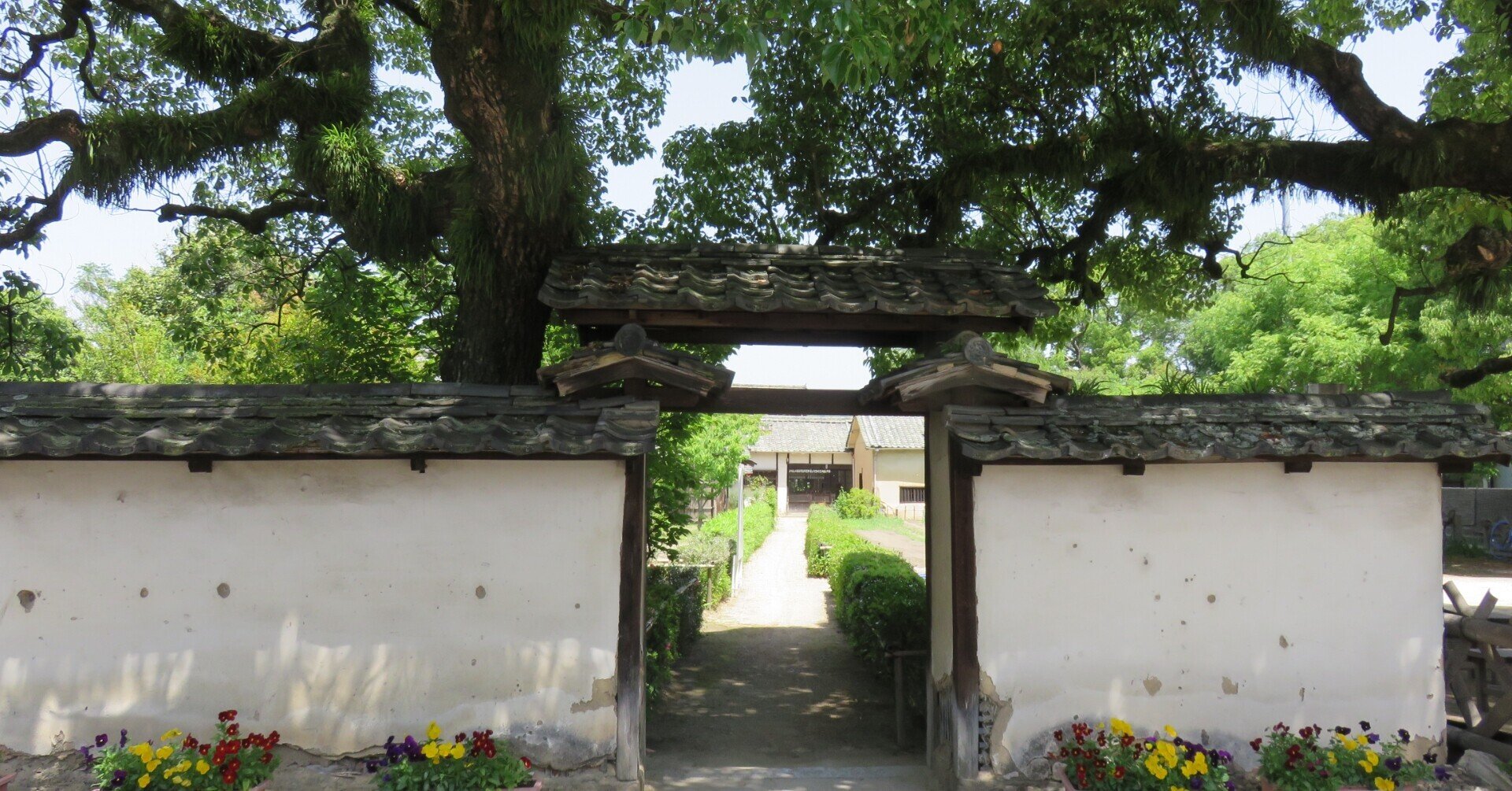 正岡子規と菅茶山の写生詩―富士川英郎『江戸後期の詩人たち