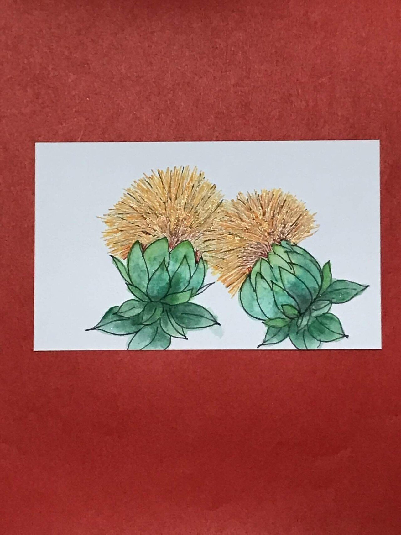 紅花 何度目かの Kyon60 Note