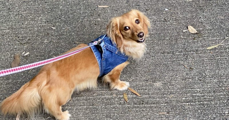 めんどくさい女 の仕事徒然 レイ ワーママ Note