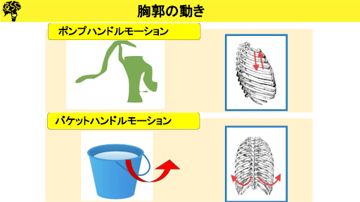 バケツのハンドルが裂けた場合の治療法は何ですか?