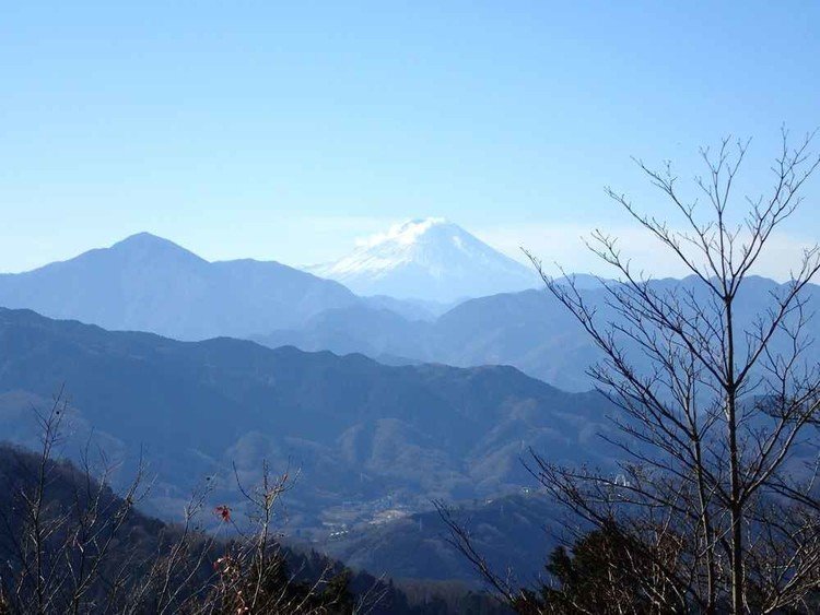 高尾山山頂から眺める富士山