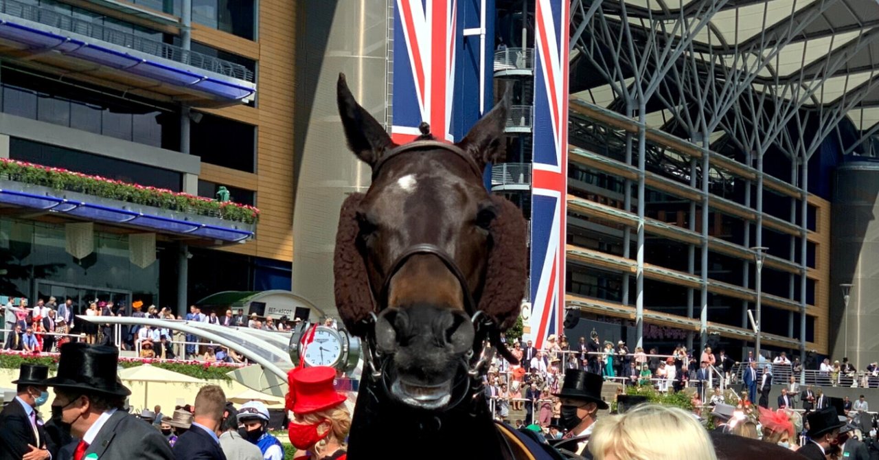 総合評価 競馬場探訪 英 アスコット競馬場 Ascot Racecourse 小和田 逸平 Note