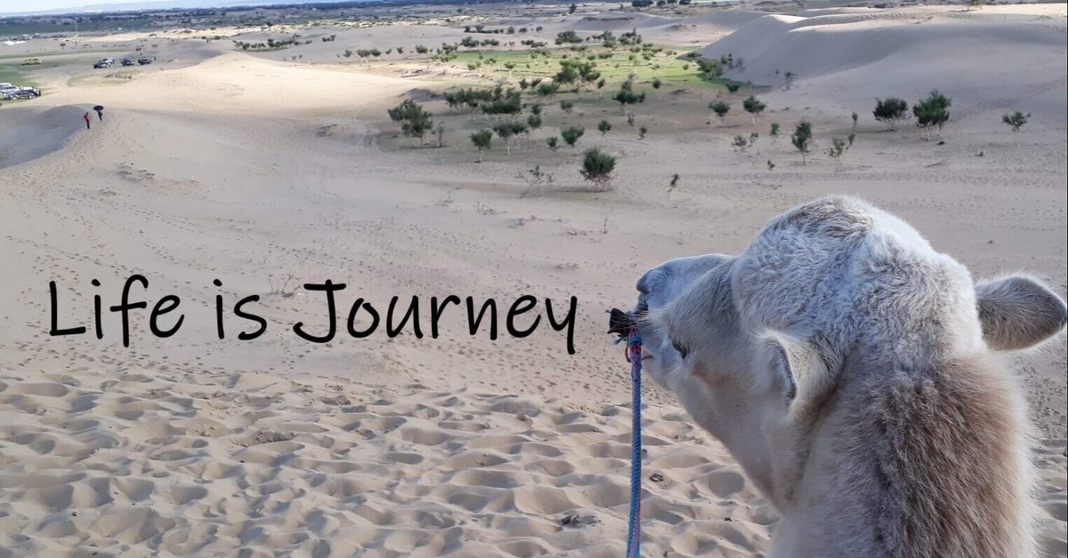 python: loadとloads, dumpと dumpsの違い|meimei