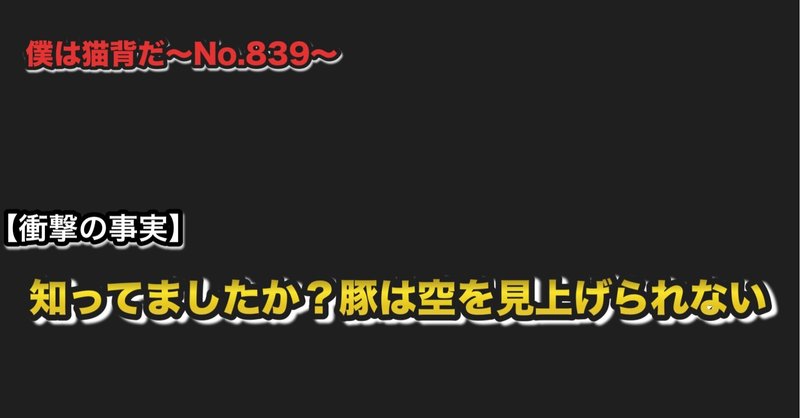 僕は猫背だ〜No.839〜