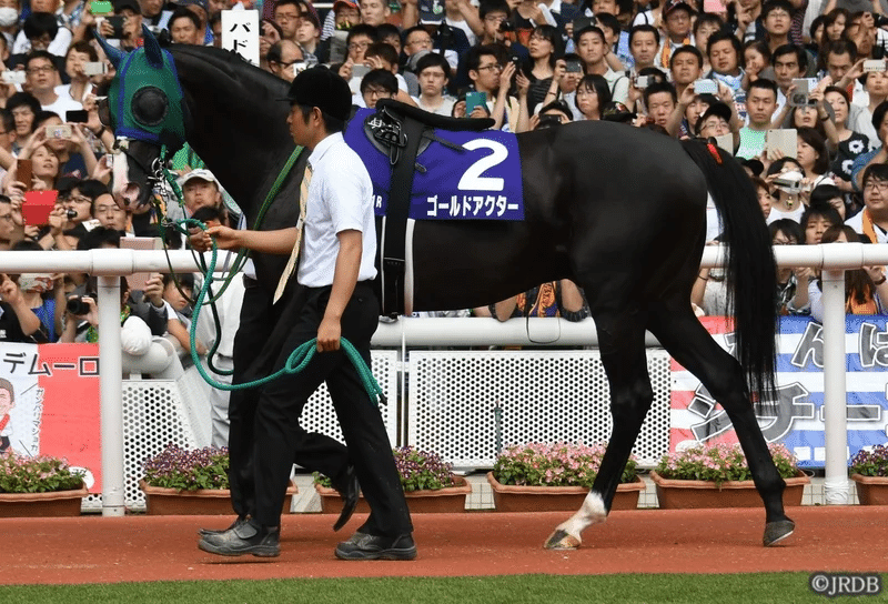 2021宝塚記念 過去5年傾向 （外厩・指数・パドック）｜JRDB 競馬