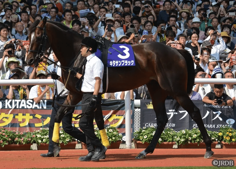 2021宝塚記念 過去5年傾向 （外厩・指数・パドック）｜JRDB 競馬