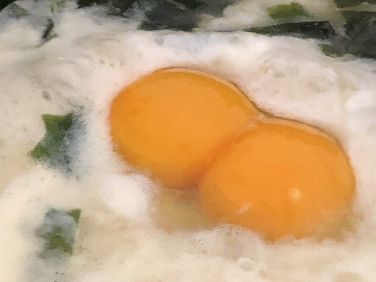 卵を割ったら 2個入ってました 双子で産まれることもあるのかな ラッキーデーですね 太田 藍 おおた あい Note