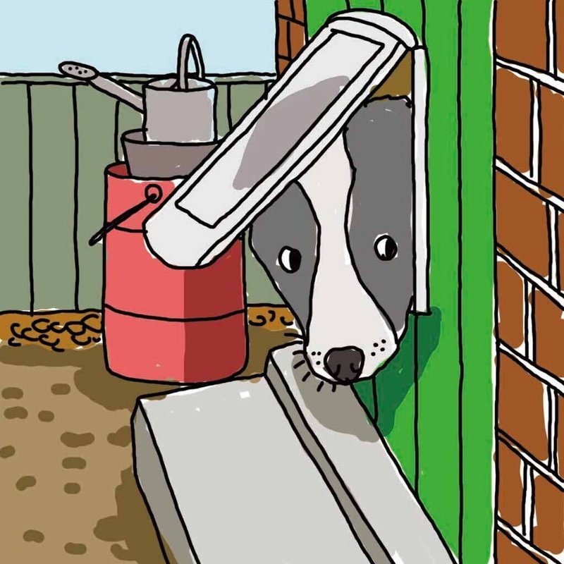 ここまでわかった犬たちの内なる世界 02人間のジェスチャーを読み解くイヌの能力は生まれつきなのか ２本足の犬 Researcher Writer Photographer Note