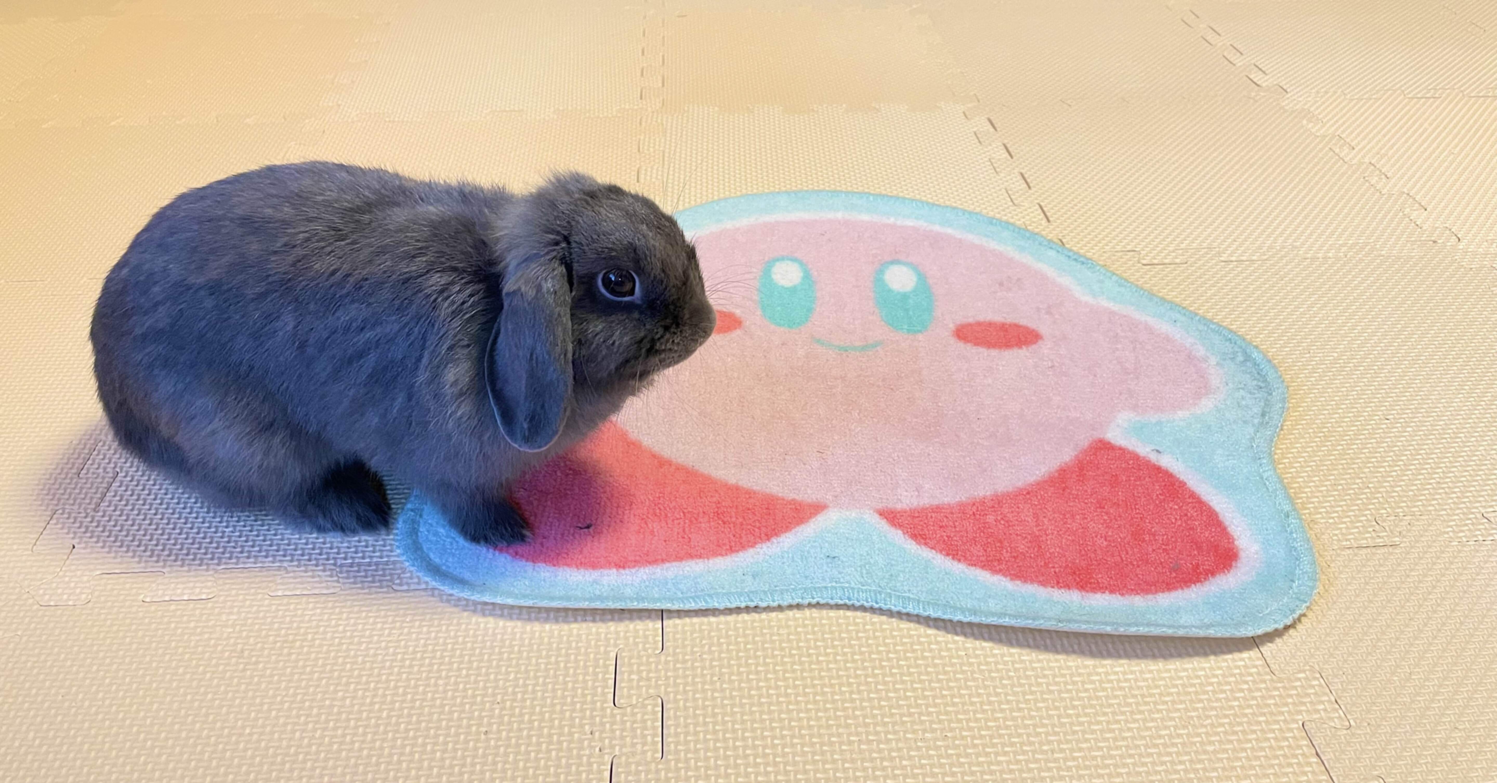 星のカービィ の思い出 ネタバレあり げーらびーず Note 星のカービィ の思い出 ネタバレあり げーらびーず Note