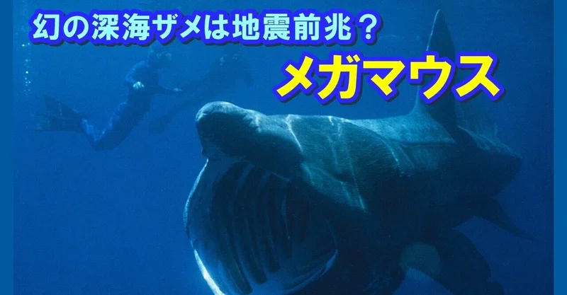 メガマウス の新着タグ記事一覧 Note つくる つながる とどける