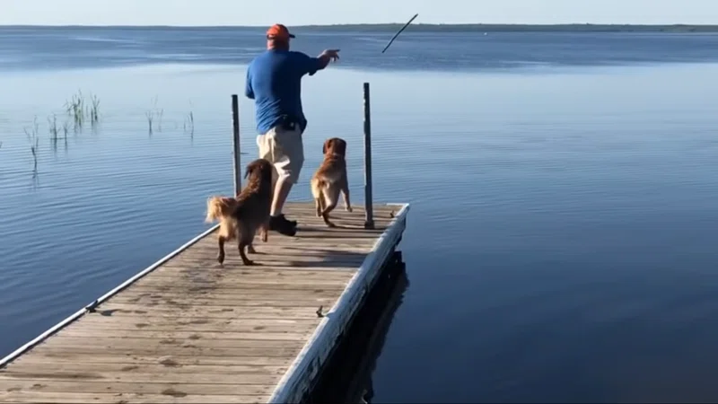 一生懸命な君が好き 犬なのに 犬かき がへたっぴなわんこ 海外の反応 Muddypadfoot Note