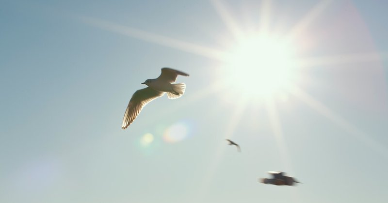 刺激と反応の間 の新着タグ記事一覧 Note つくる つながる とどける