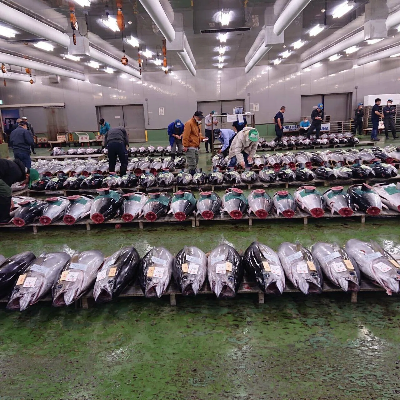 名古屋市中央卸売市場 新鮮な魚介類を直送｜Let(レット)【公式】｜note