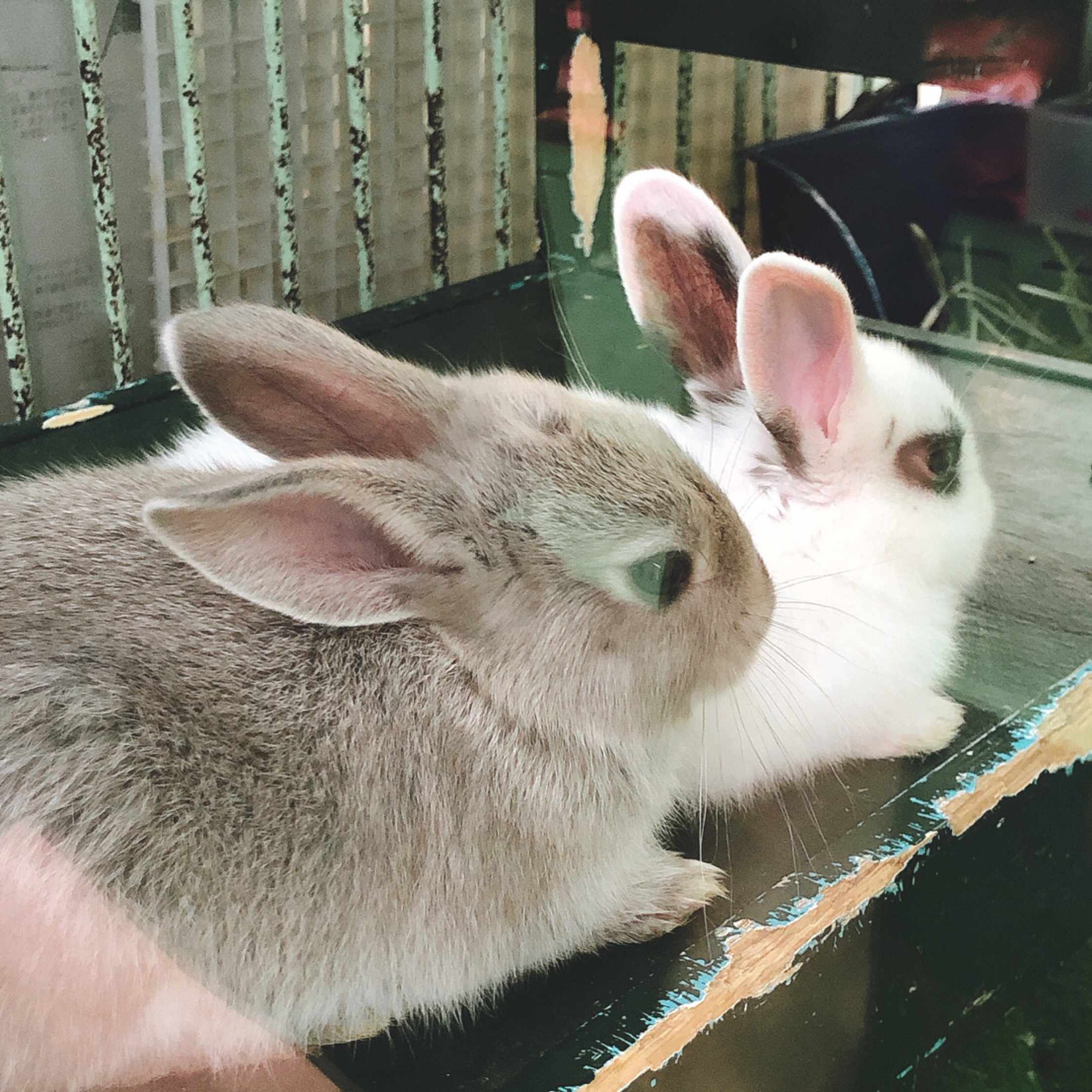 生きづらさについて そめ Note 生きづらさについて そめ Note