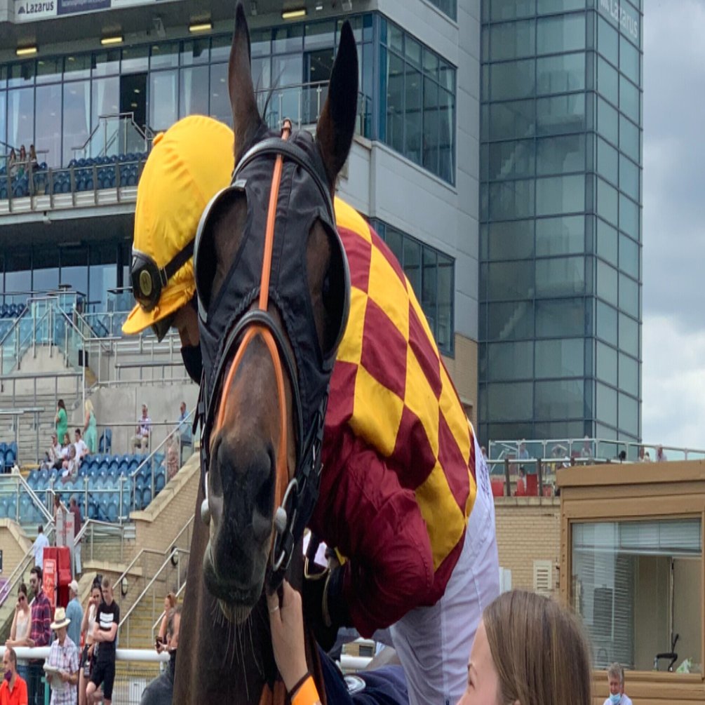 総合評価 競馬場探訪 英 ドンカスター競馬場 Doncaster Racecourse 小和田 逸平 Note