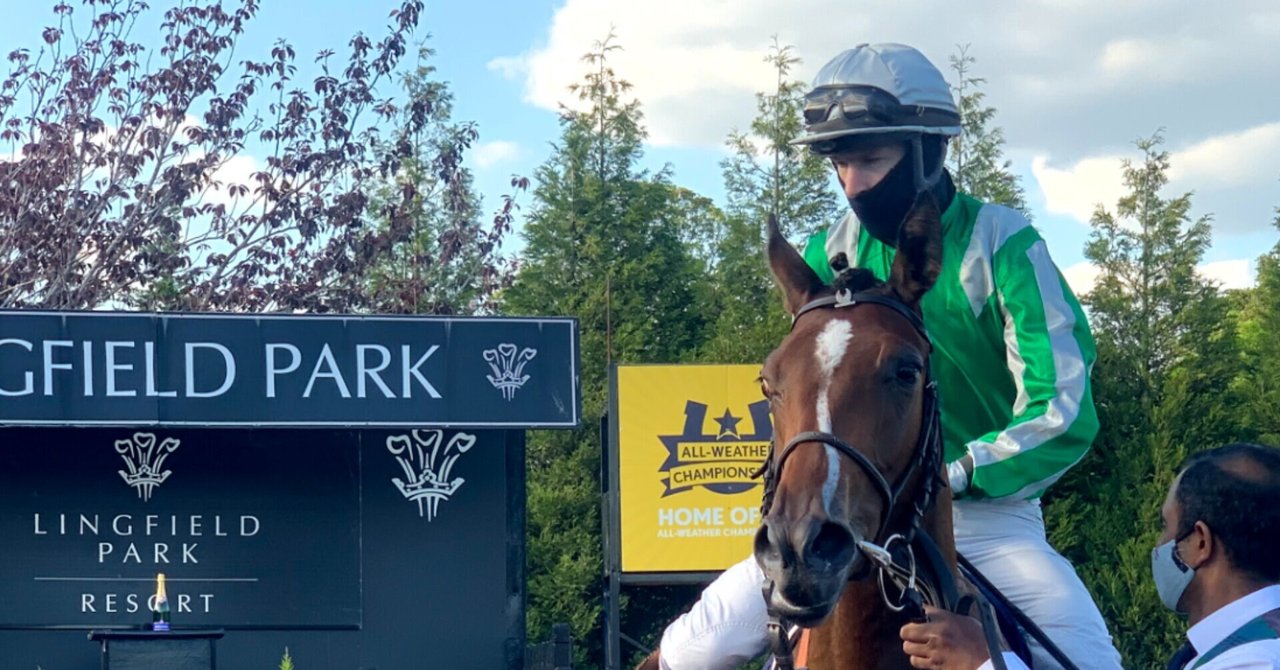総合評価 競馬場探訪 英 リングフィールド競馬場 Lingfield Racecourse 小和田 逸平 Note 総合評価 競馬場探訪 英 リングフィールド競馬場 Lingfield Racecourse 小和田 逸平 Note