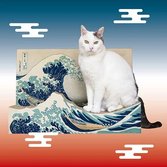 ç»å9