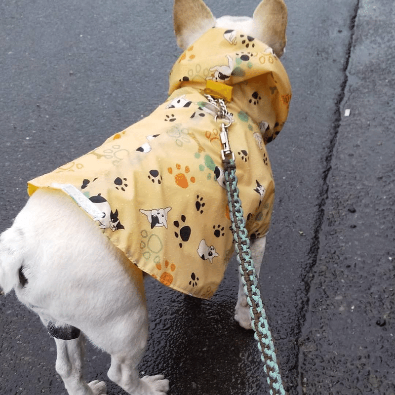 犬服ハンドメイド の新着タグ記事一覧 Note つくる つながる とどける